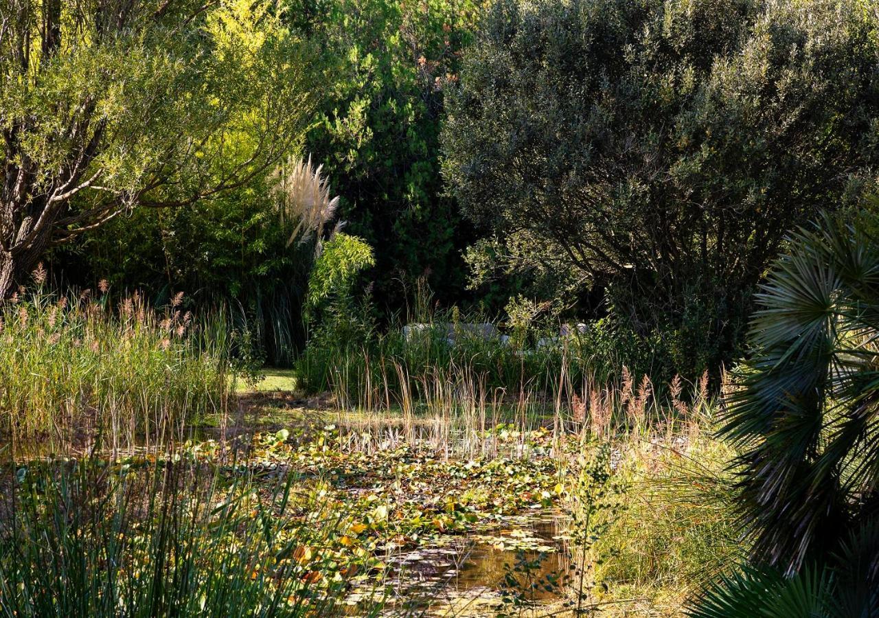 Le Moulin De Valaurie Hotel Bagian luar foto